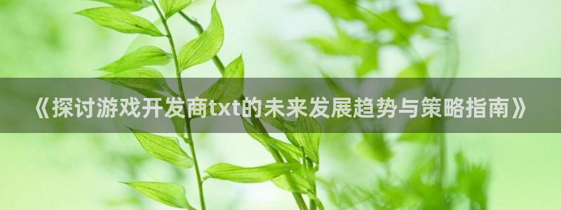 沐鸣娱乐注册平台：《探讨游戏开发商txt